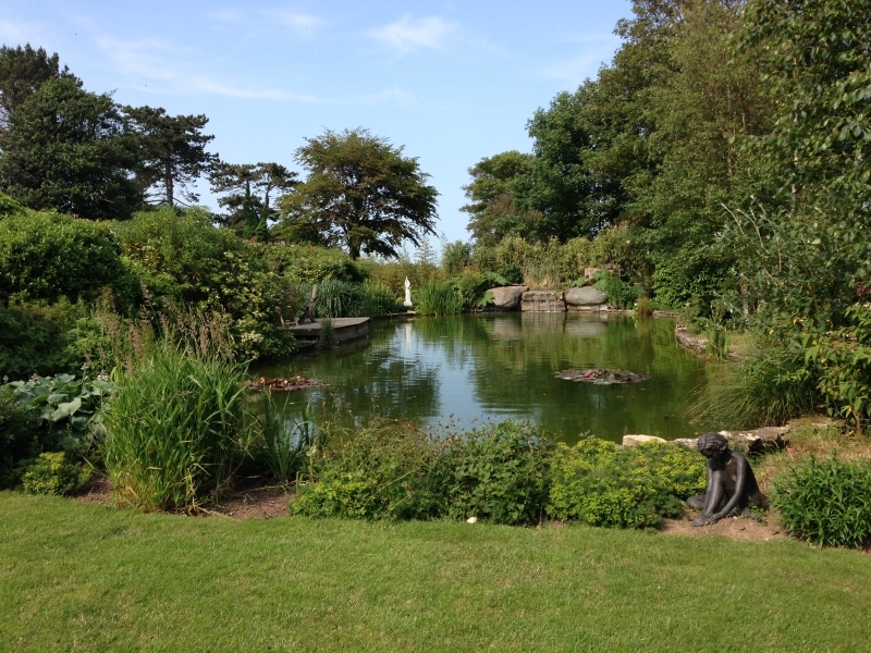 natural-garden-pond