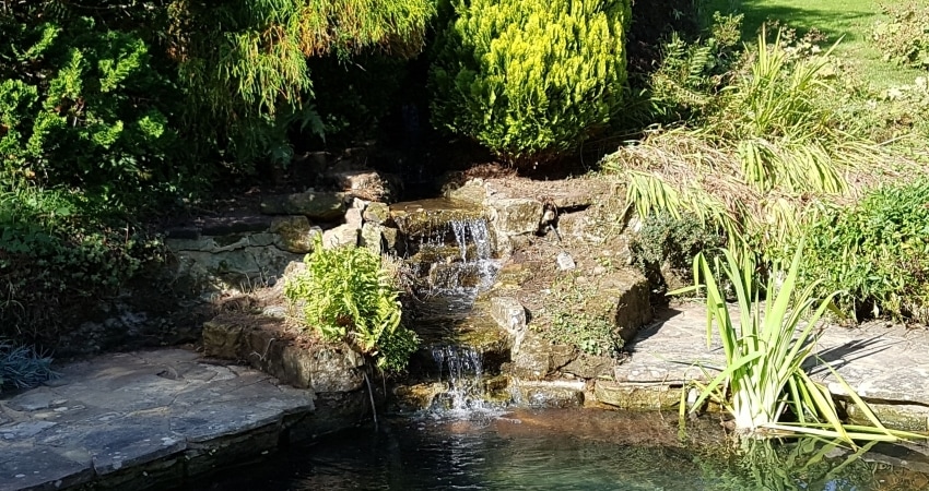 garden pond waterfall